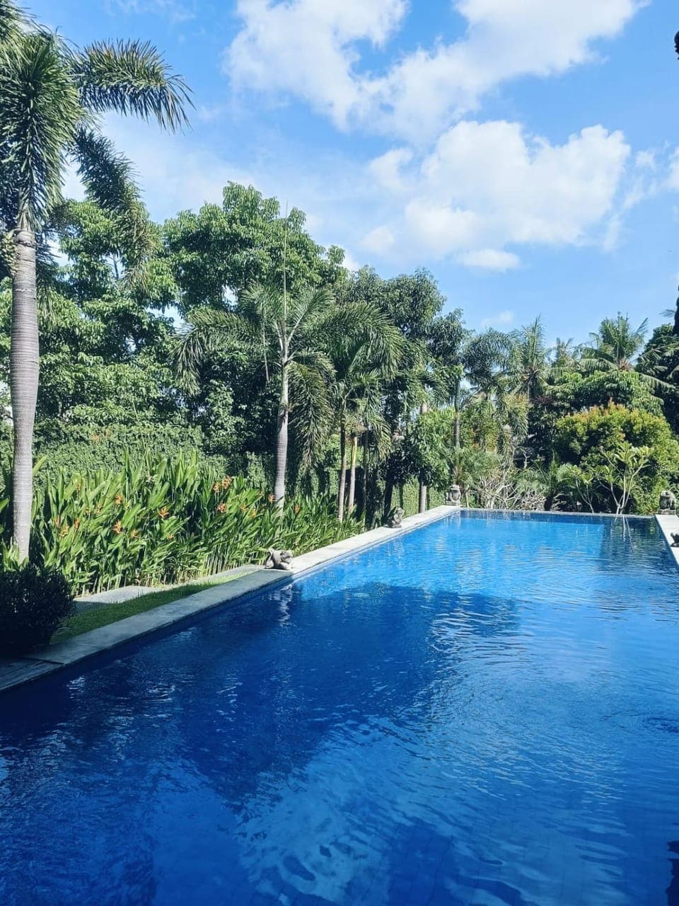 Natural landscape, Pool view