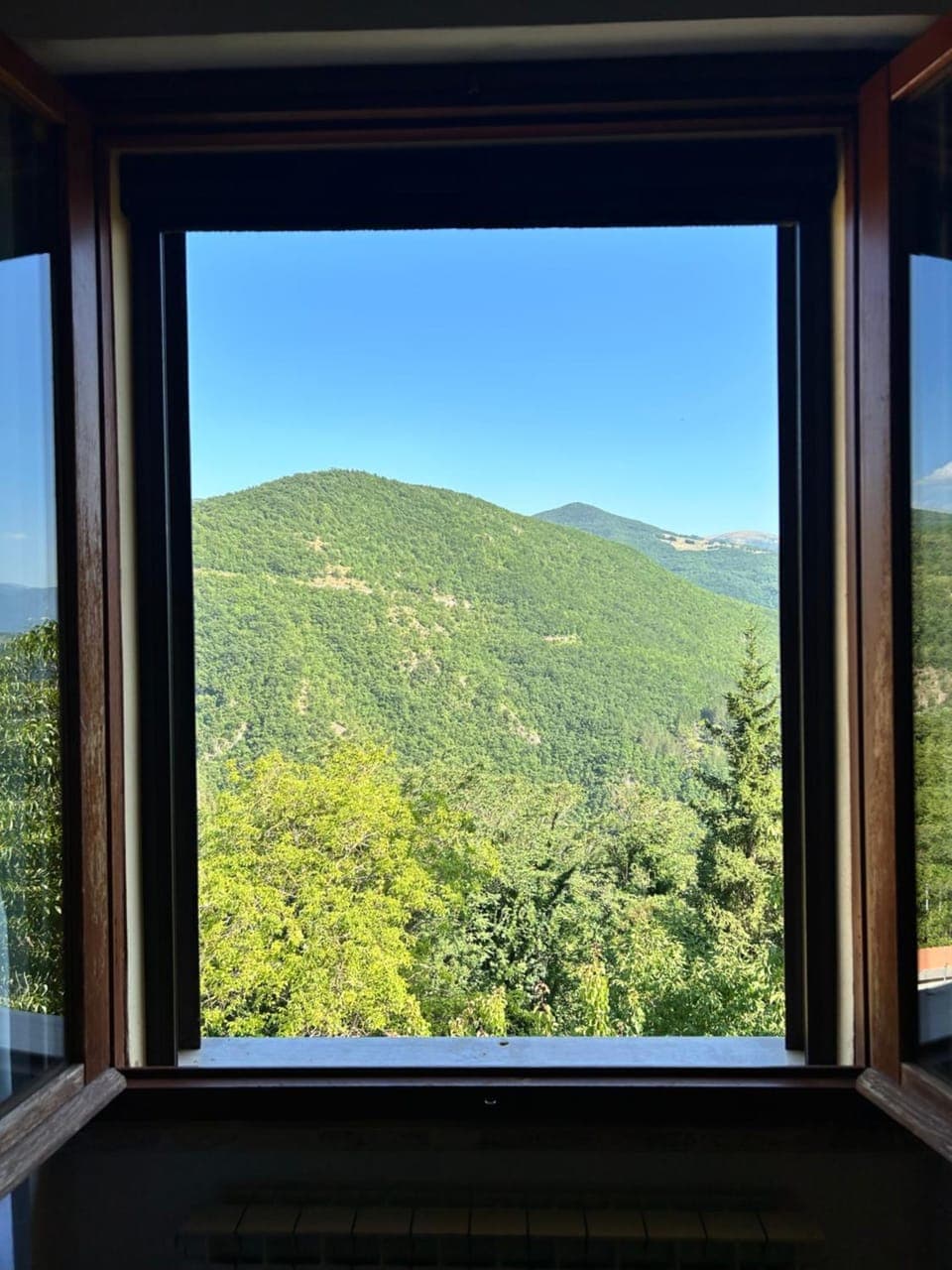 View (from property/room)