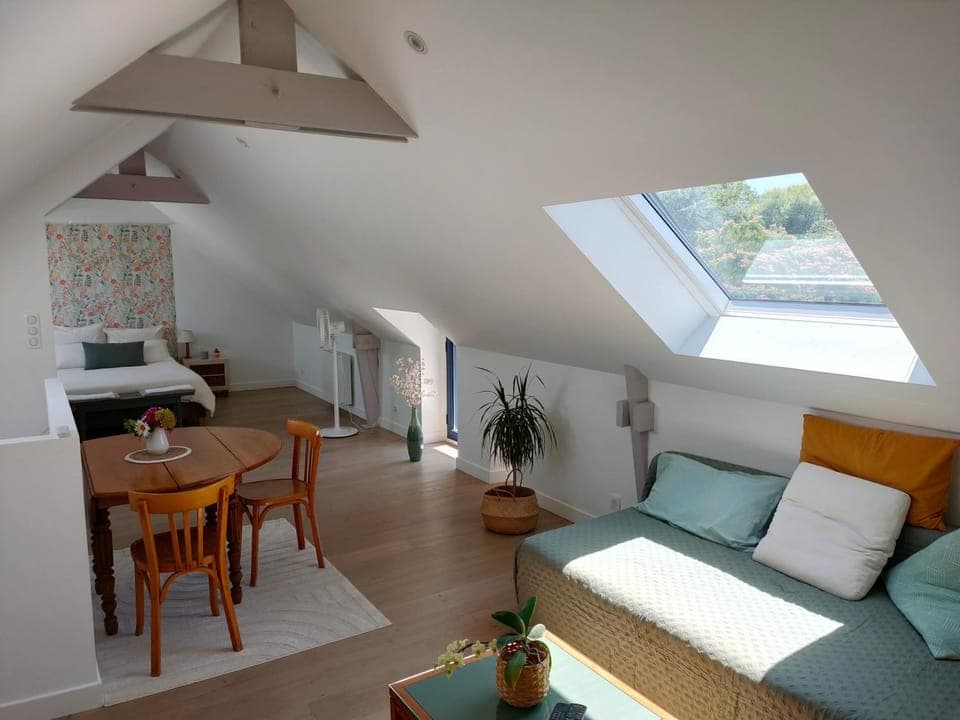 Photo of the whole room