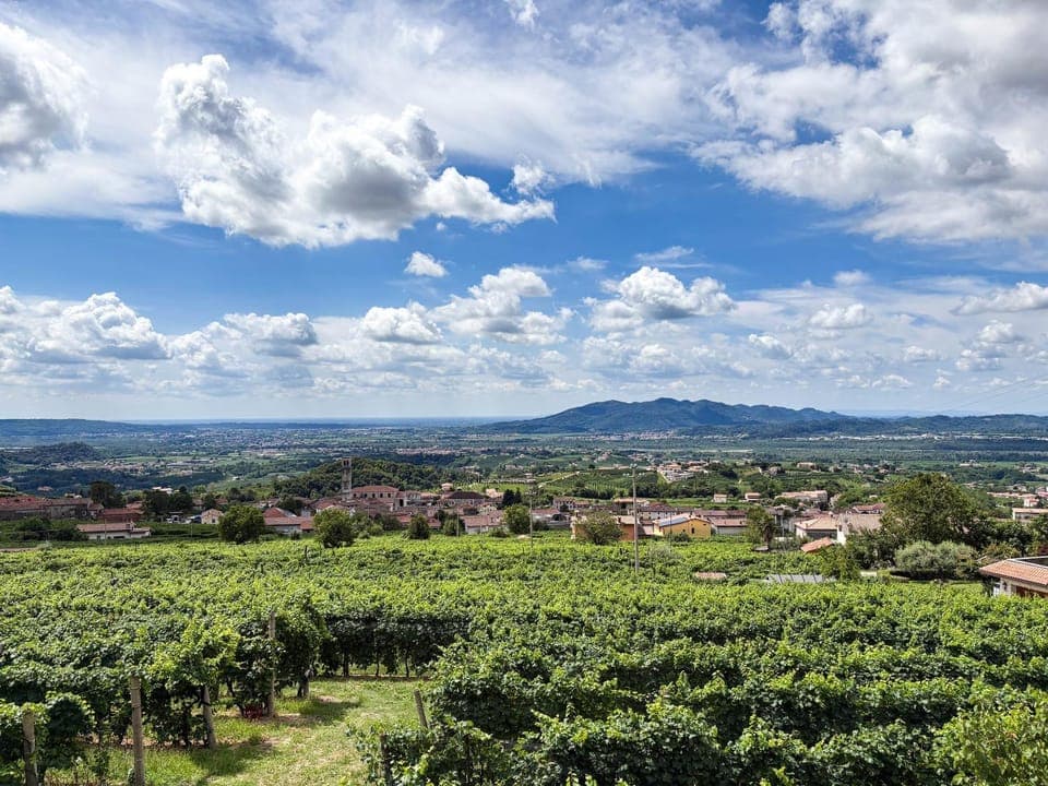 Bird's eye view, View (from property/room), View (from property/room)