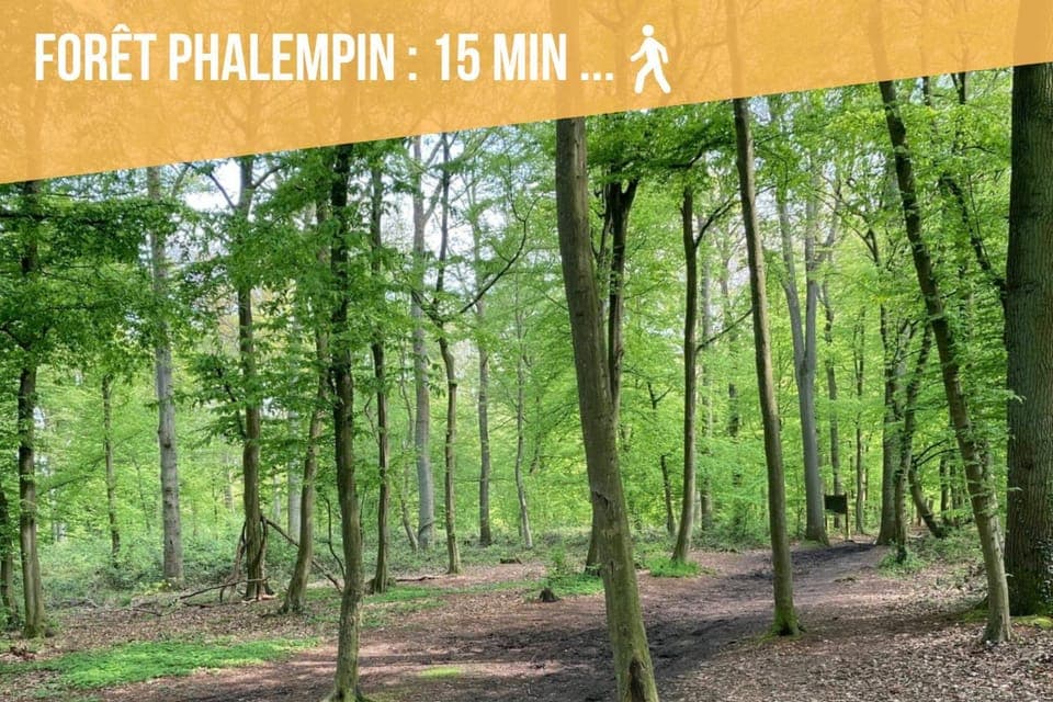 Day, Natural landscape