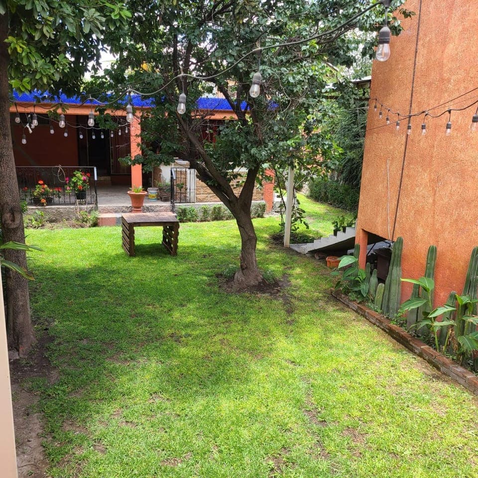 Spring, Garden, Garden view