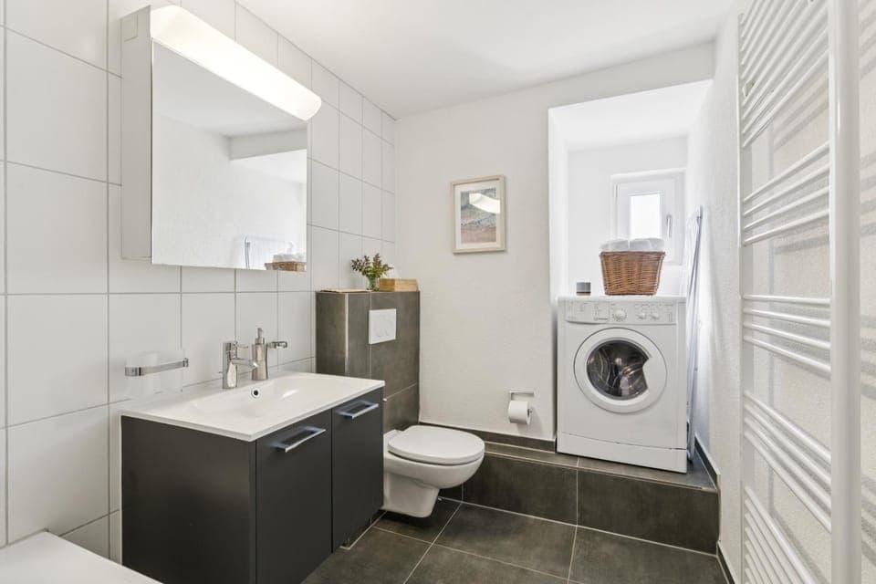 Toilet, towels, washing machine