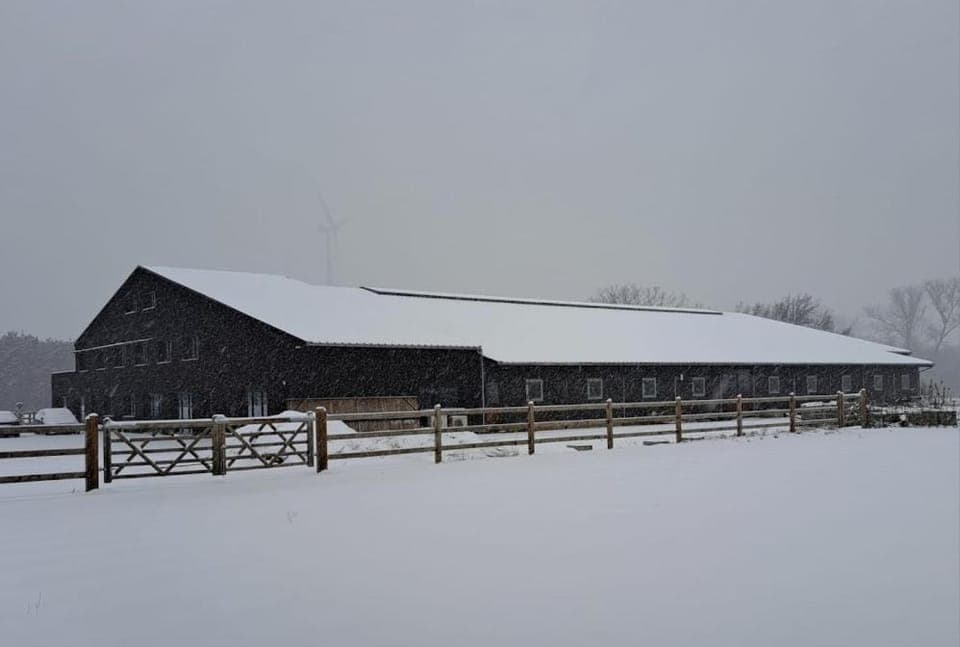 Property building, Winter