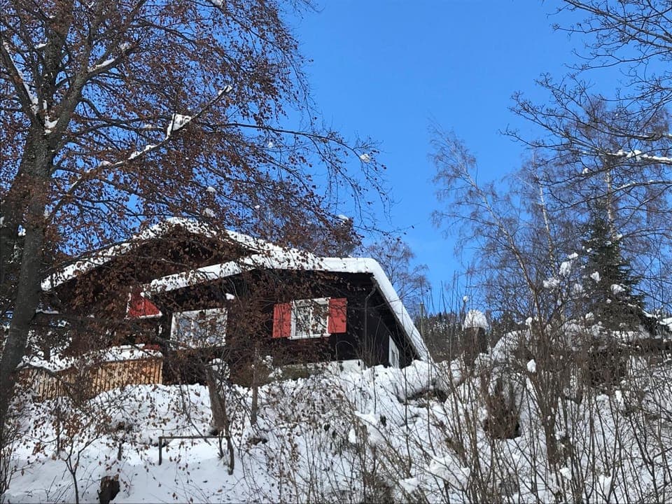 Property building, Winter