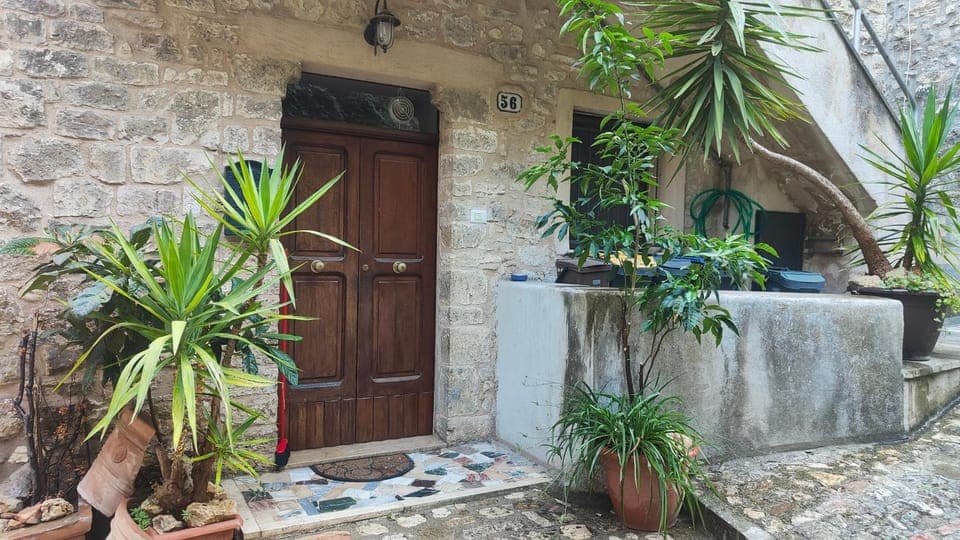 Property building, Day