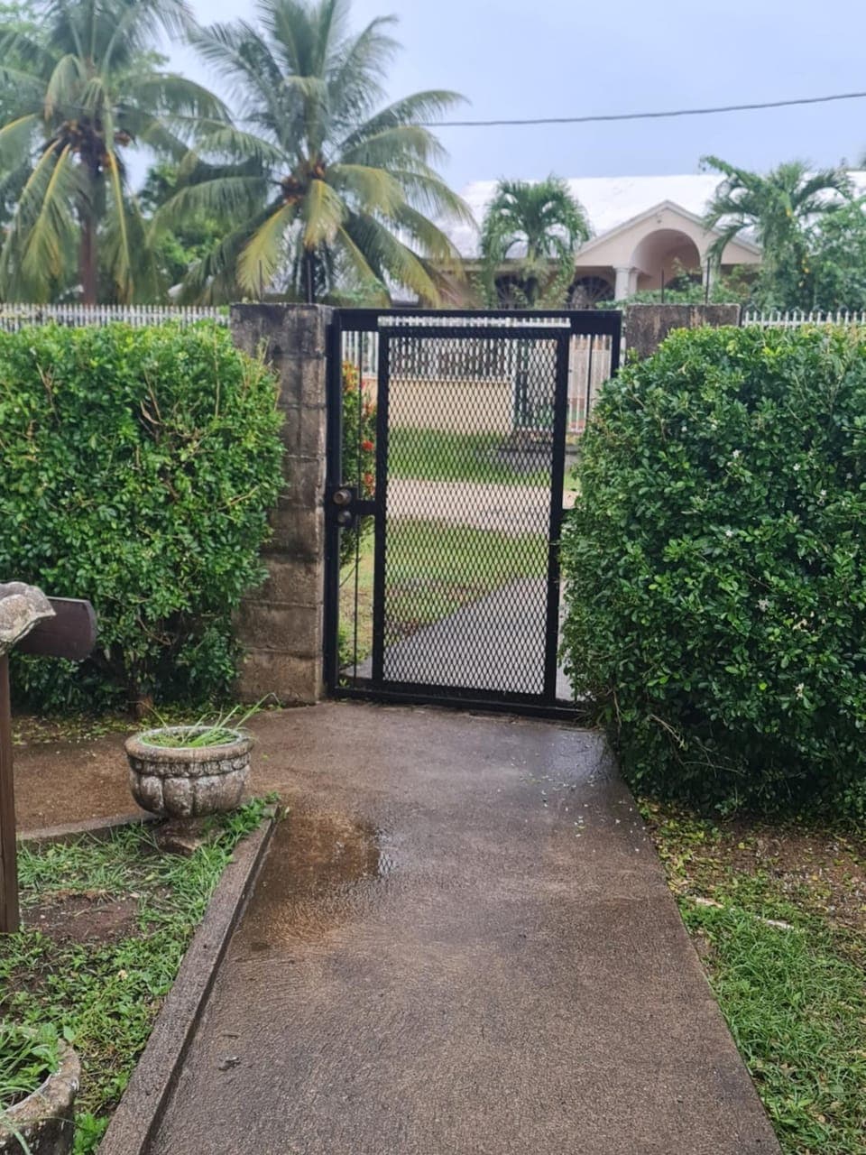 Garden view