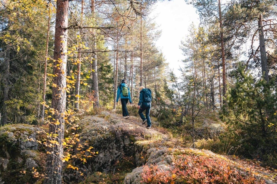 Hiking