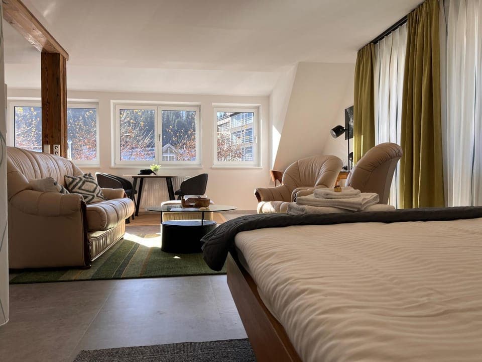 Bed, Living room, Photo of the whole room, Seating area, Bedroom