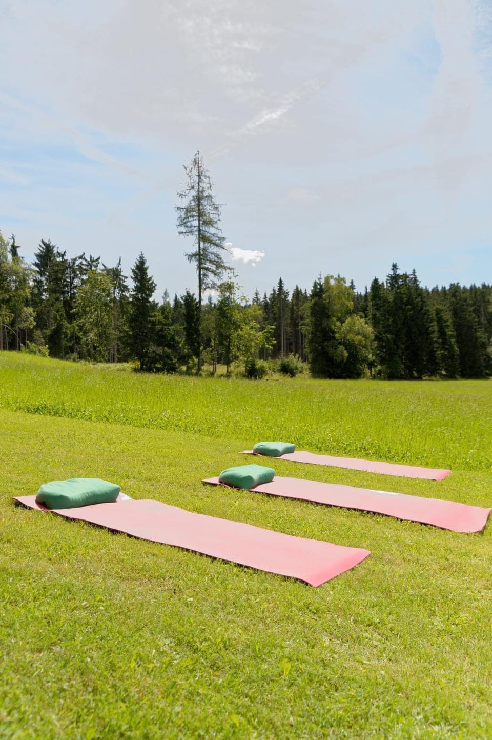 Natural landscape, Garden, Garden view
