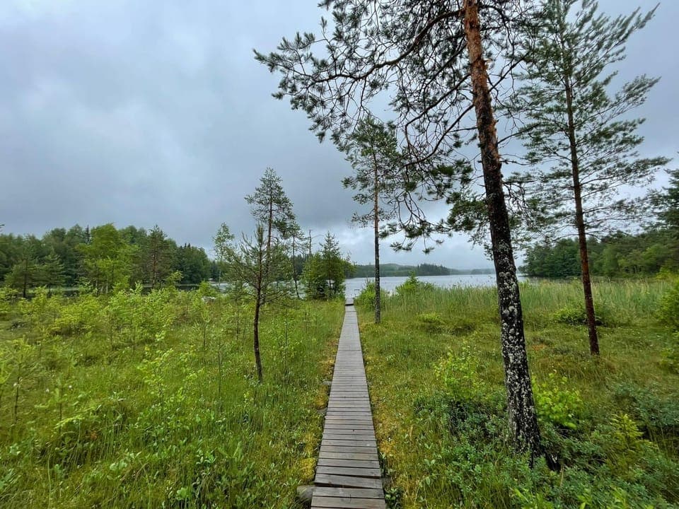 Lake view