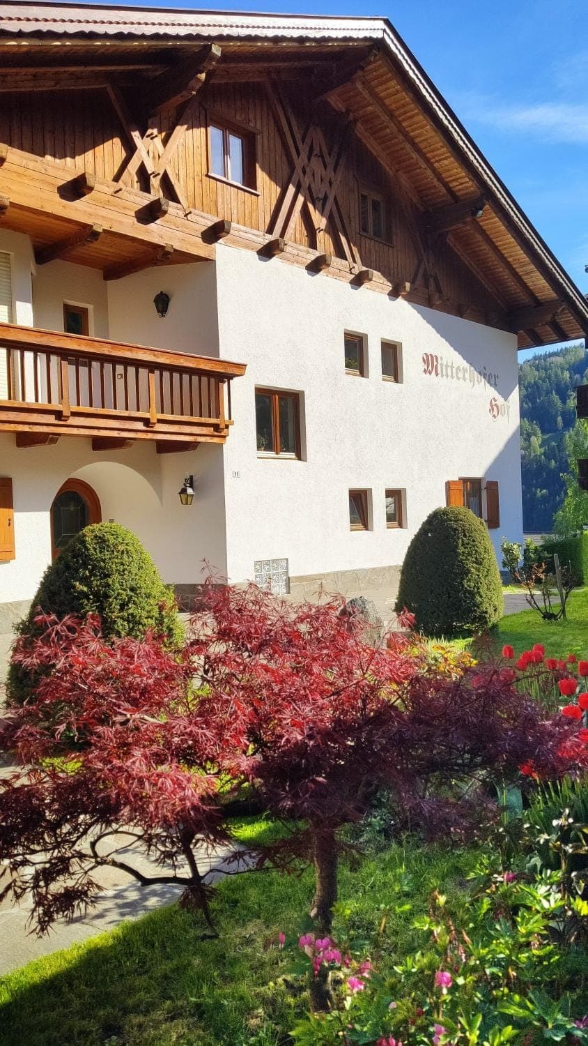 Property building, Day, Garden, Garden view