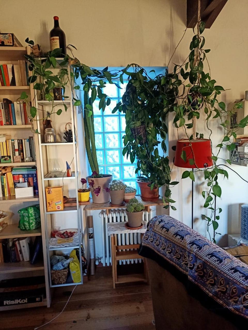 Library, Living room