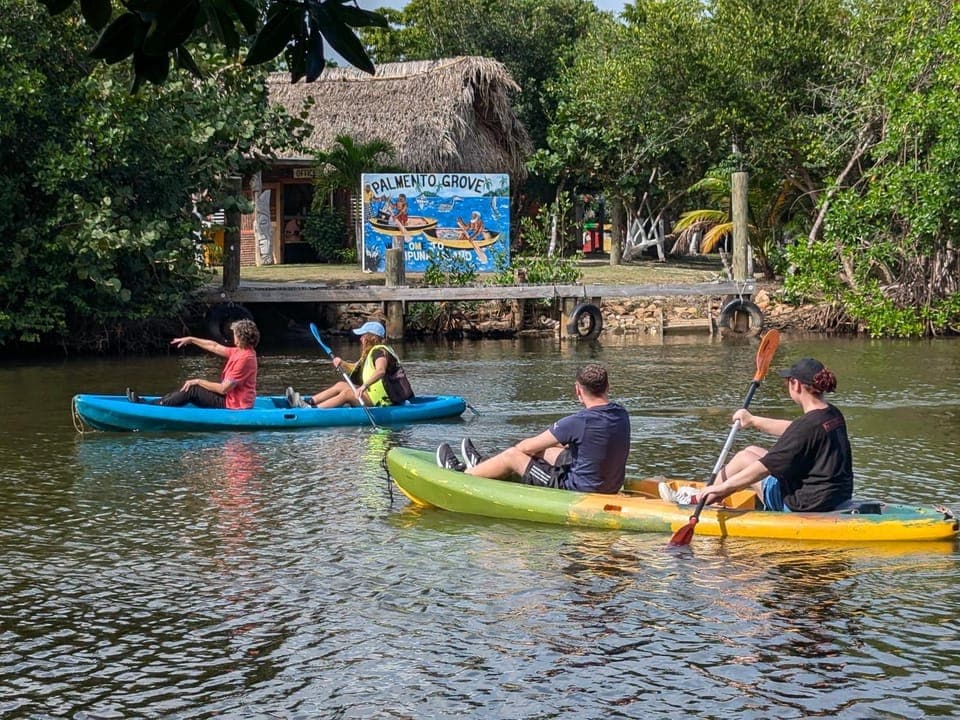 Activities, Activities