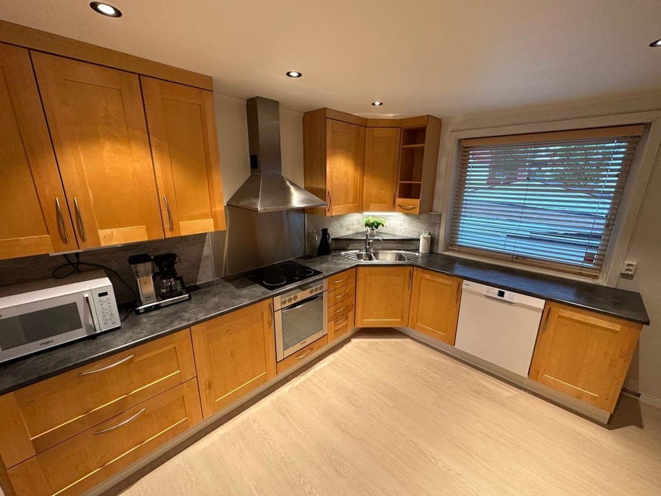 Kitchen or kitchenette, dishwasher, stove