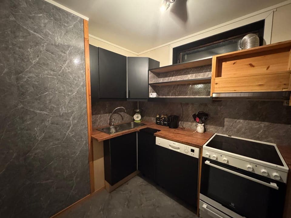 Kitchen or kitchenette, dishwasher, oven, stove