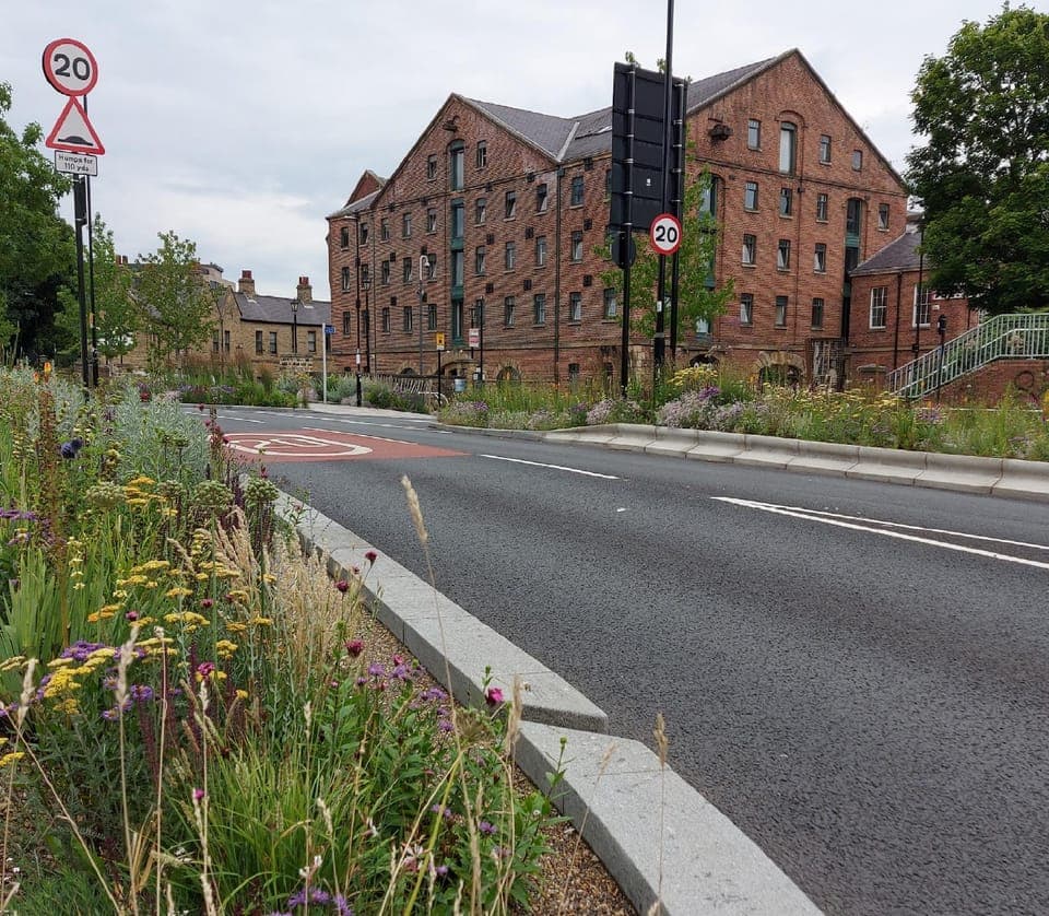 Property building, Day, Neighbourhood, Natural landscape, Street view, Location