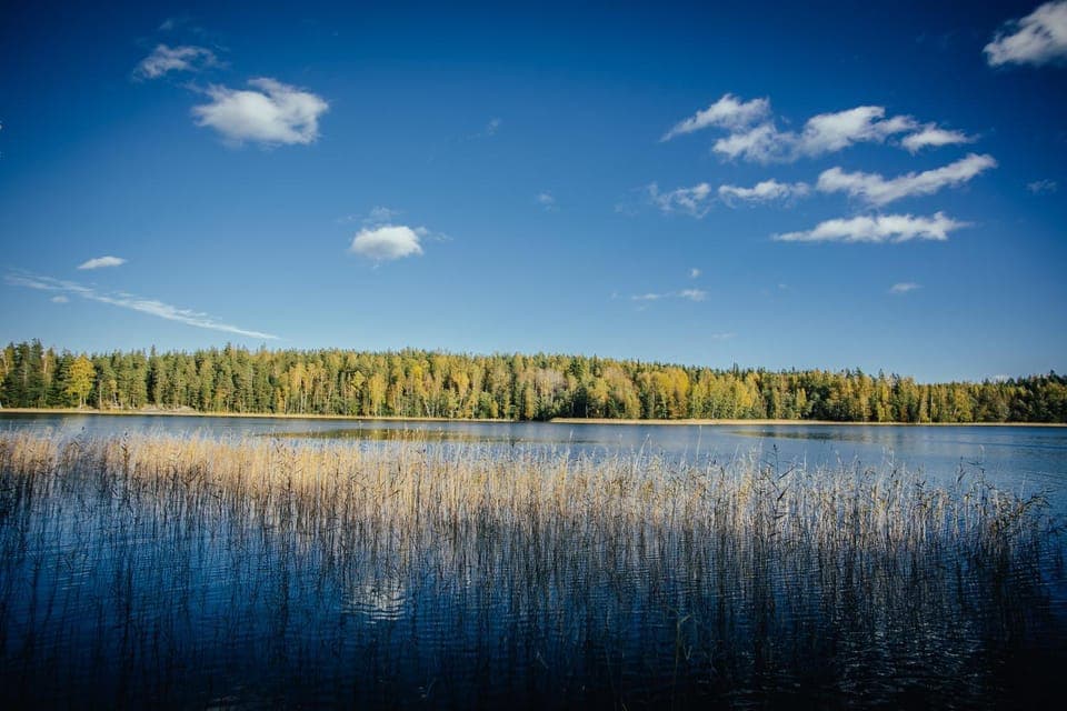 Natural landscape, Lake view