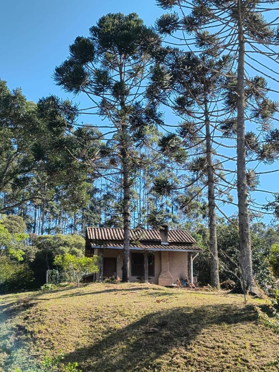 Property building, Natural landscape