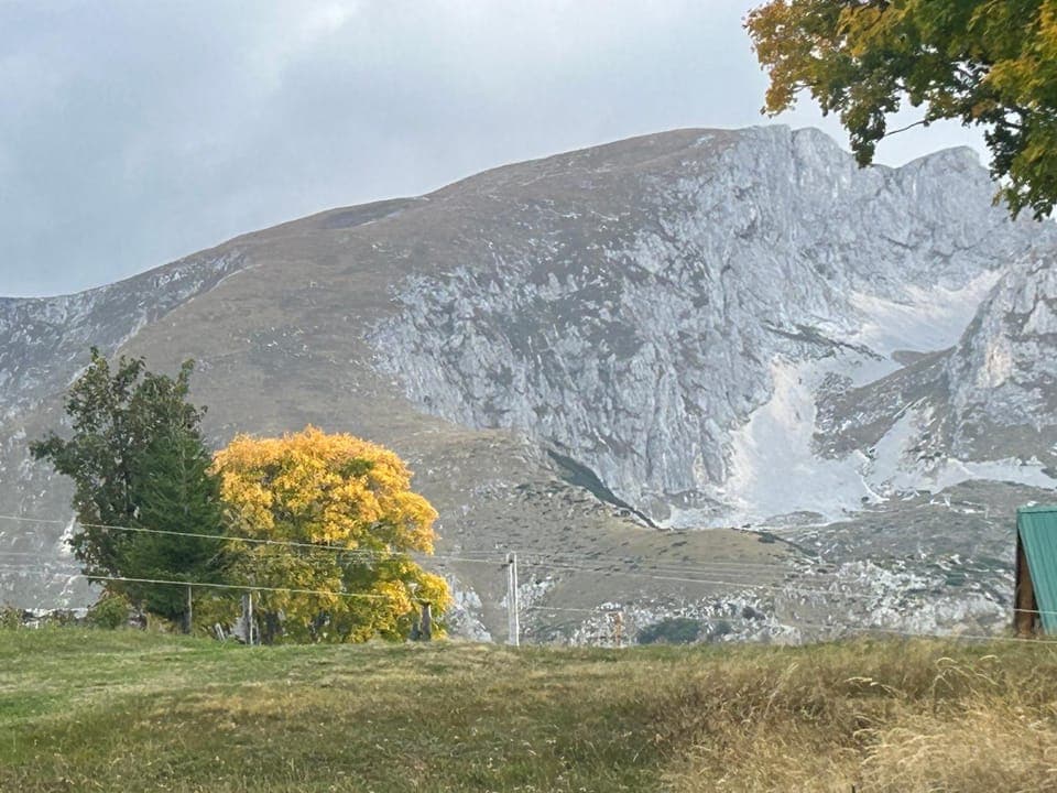 Inner courtyard view