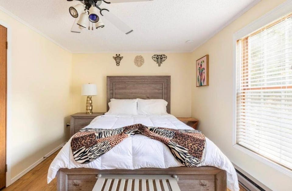 Bed, Photo of the whole room, Bedroom