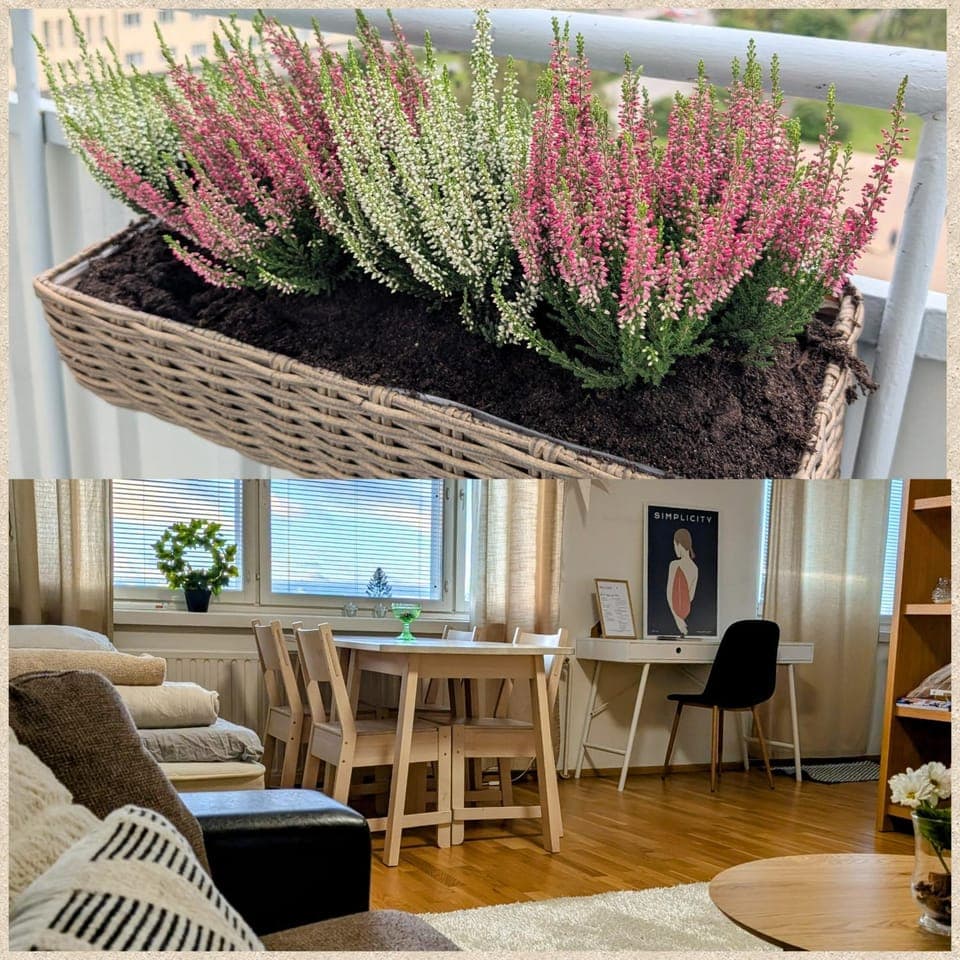 Beautiful apartment with seaview! Top 7th floor Free parking! Apartment in Kemi