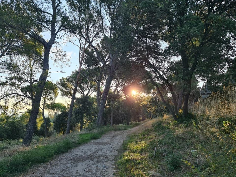 Natural landscape, Landmark view, Sunrise