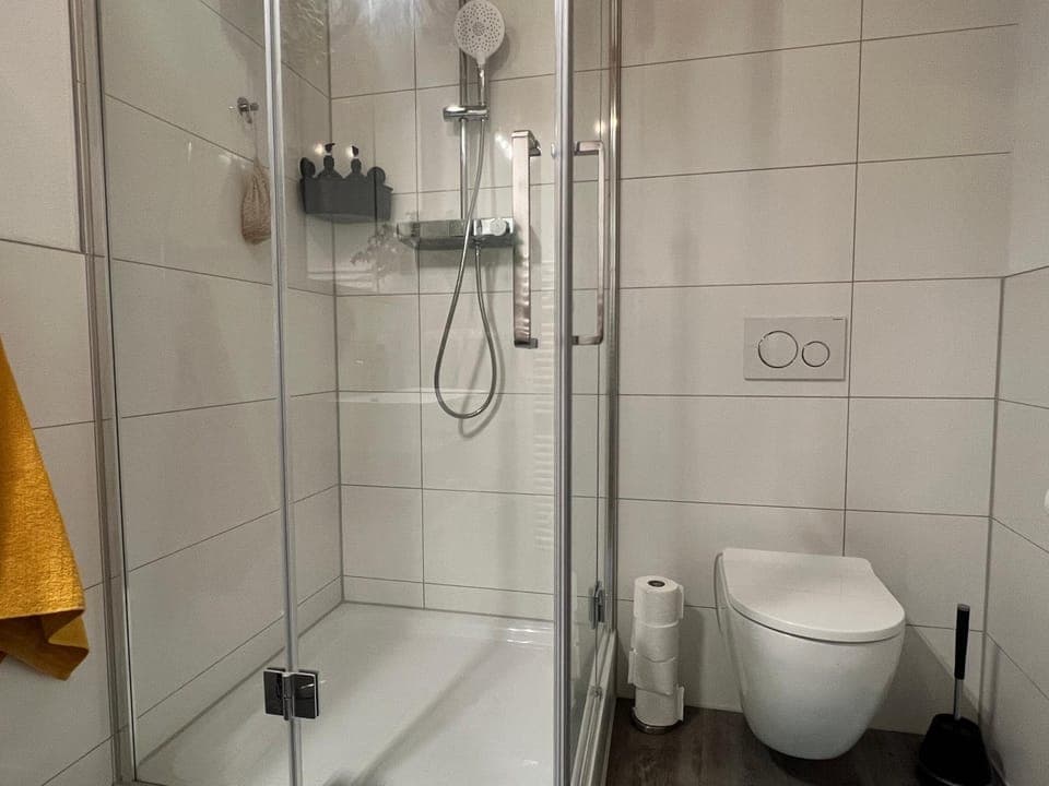 Shower, Toilet, Bathroom, towels