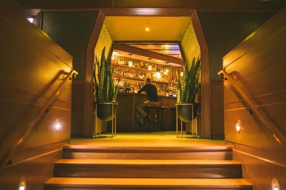 Lounge or bar, Guests