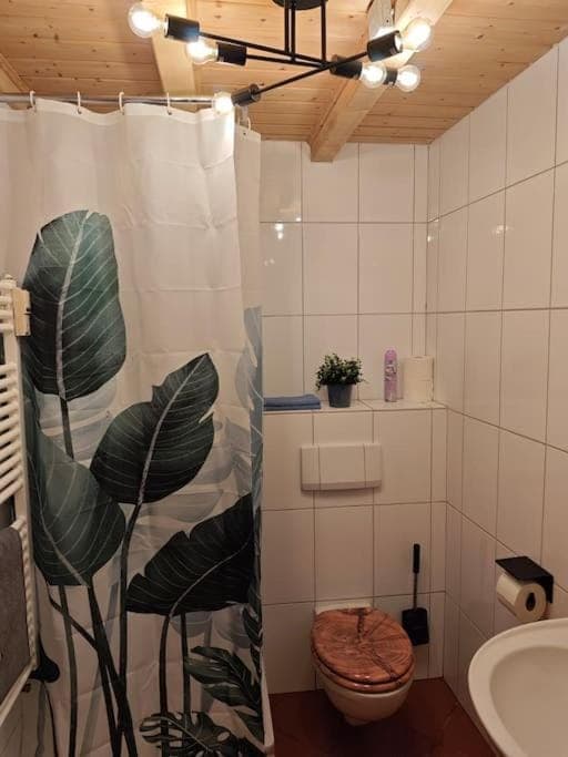 Shower, Toilet, Bathroom