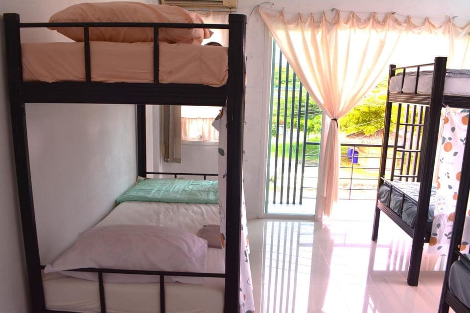 Bed, Photo of the whole room, Bedroom, bunk bed