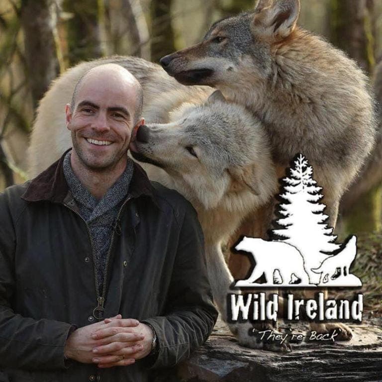 Nearby landmark, Animals