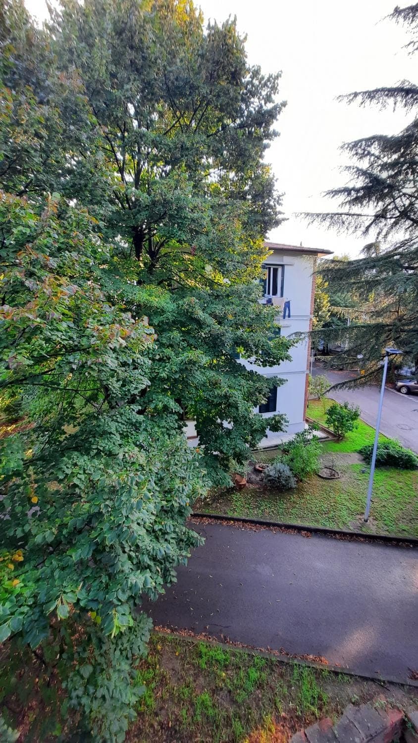 Property building, Garden view