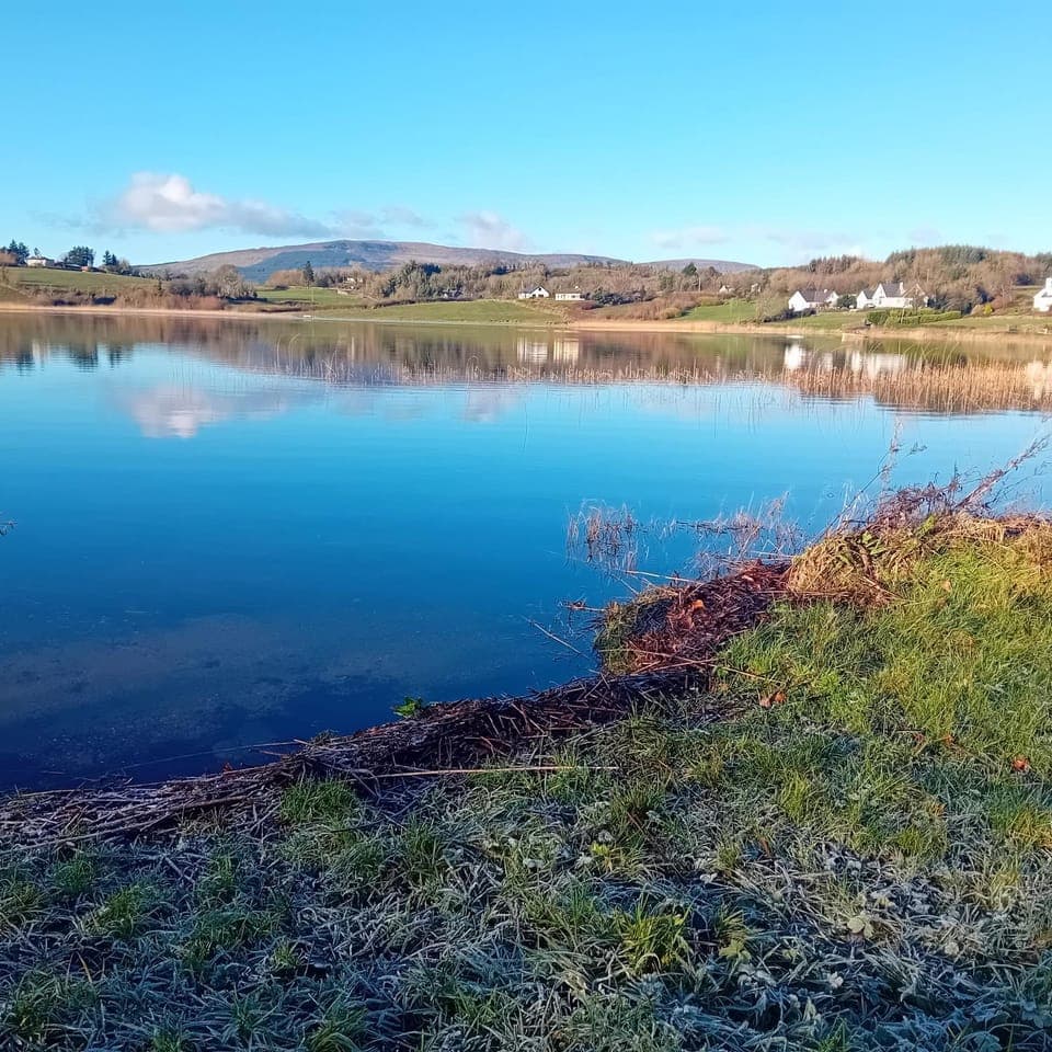 Lake view