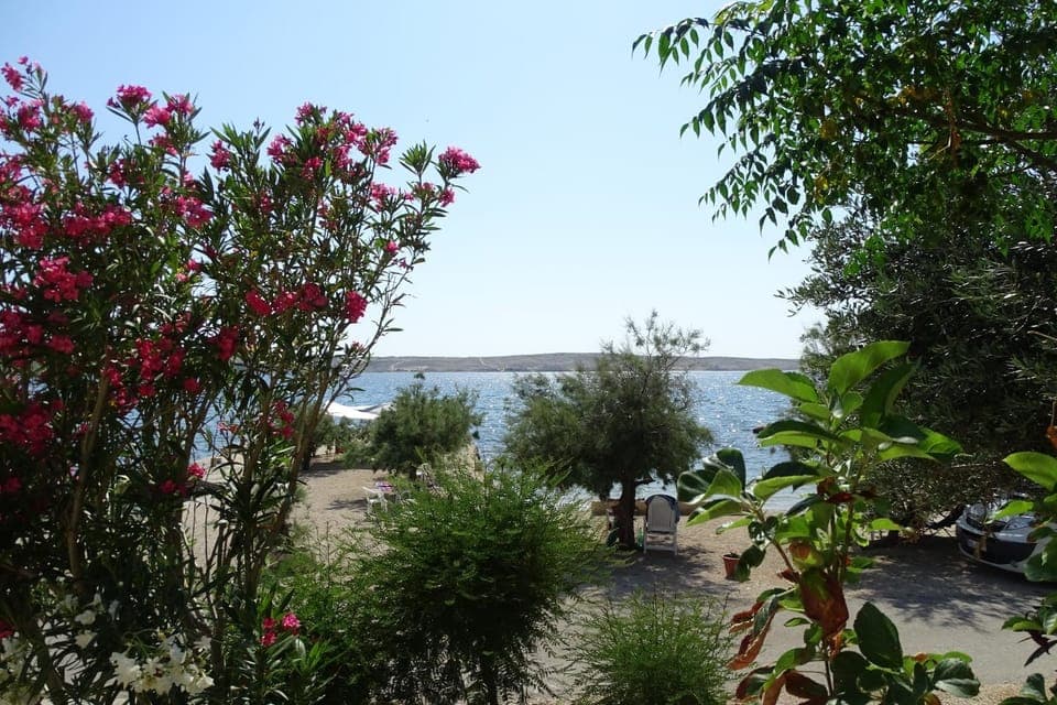 View (from property/room)