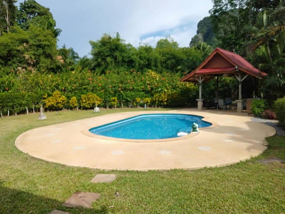 Garden, Pool view, Swimming pool, sunbed