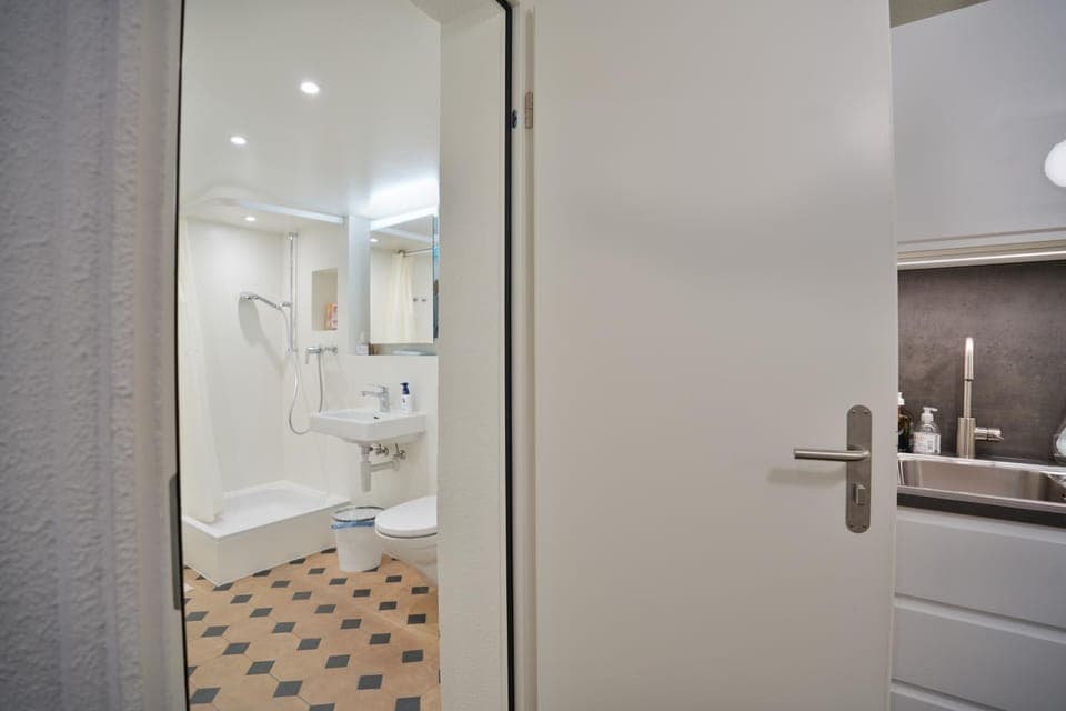 Shower, Toilet, Bathroom, towels