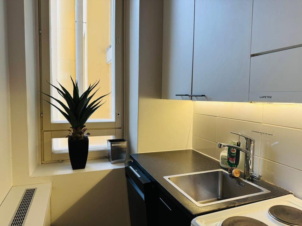 Kitchen or kitchenette, dishwasher