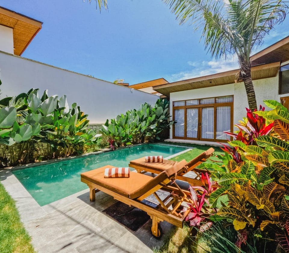 Garden, Pool view, Swimming pool, sunbed