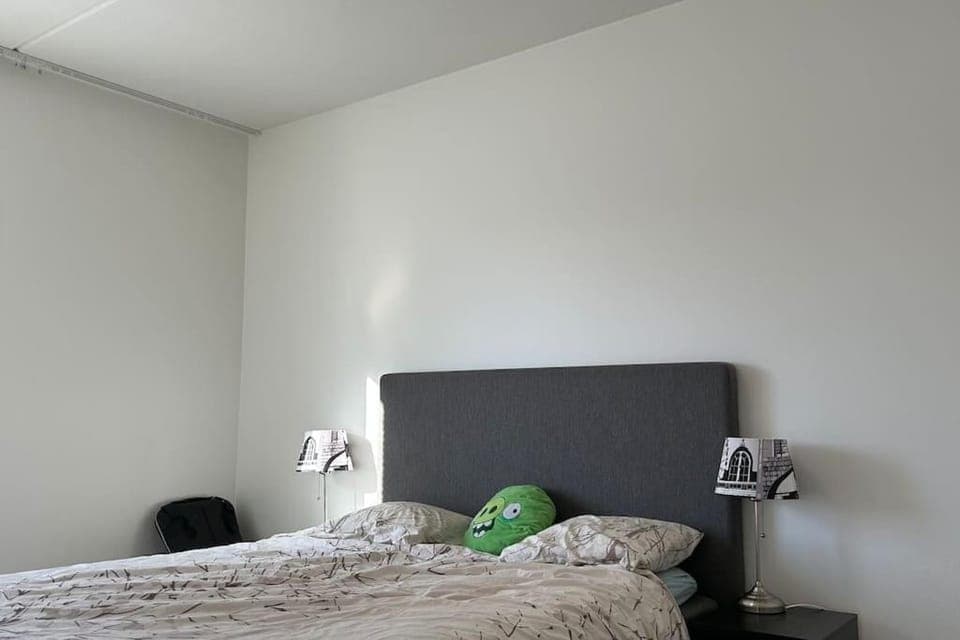 Stylish & Spacious Apartment Near Helsinki Center Apartment in Helsinki