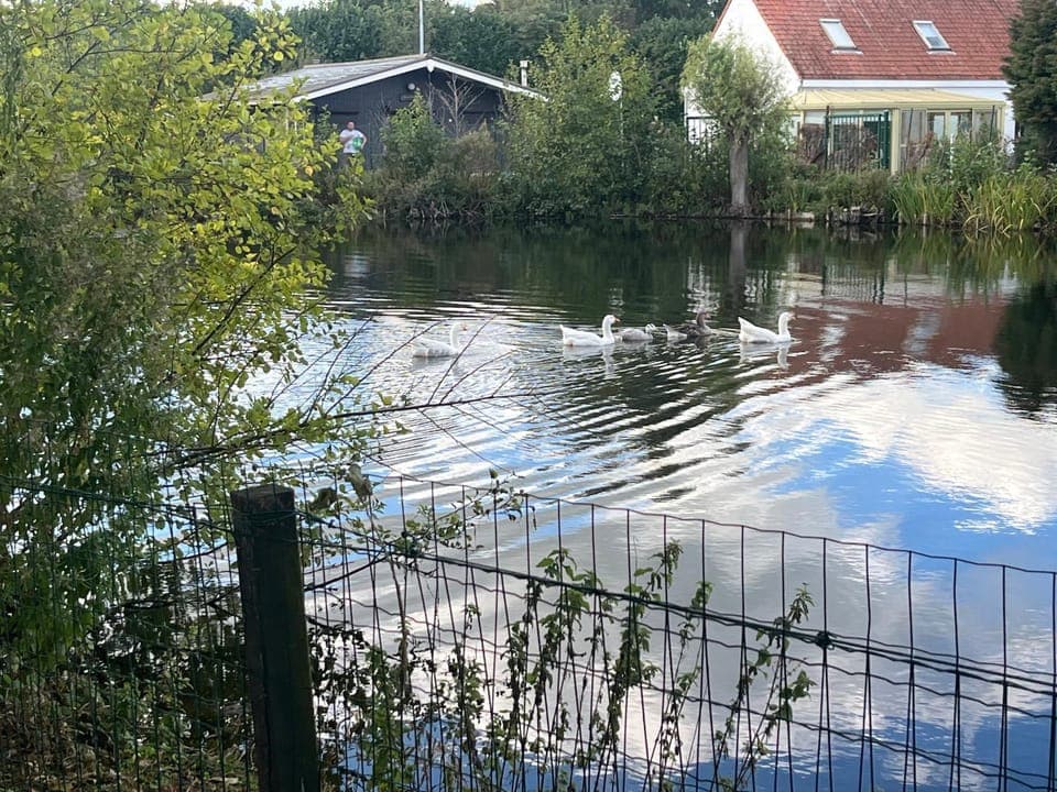 Day, Natural landscape, Lake view