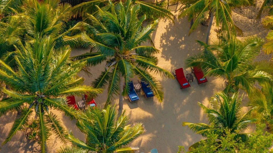 View (from property/room), Beach