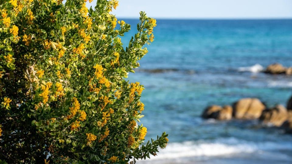 Nearby landmark, Natural landscape