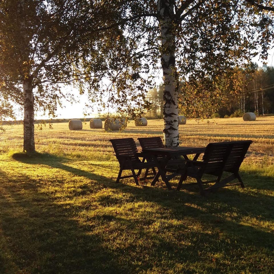 Day, Natural landscape, Garden, Garden view