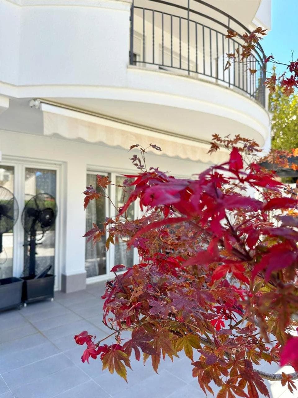 Property building, Garden, Balcony/Terrace