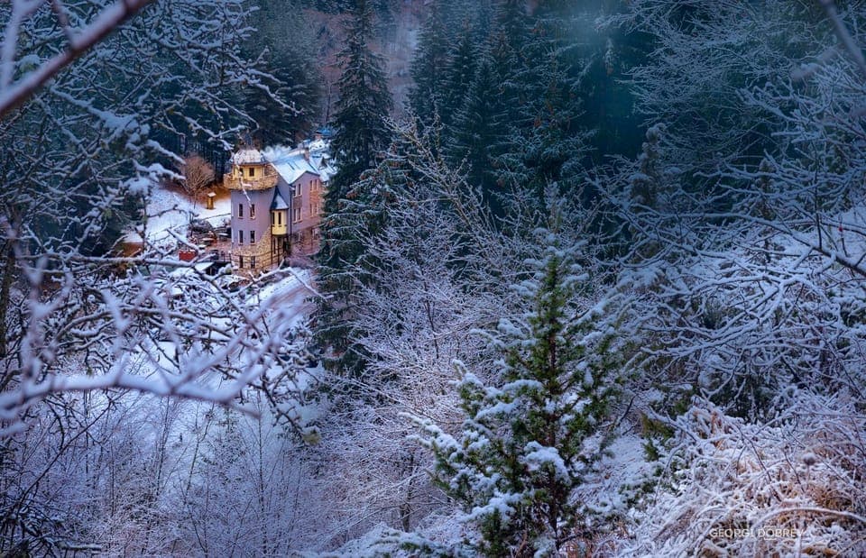 Facade/entrance, Bird's eye view