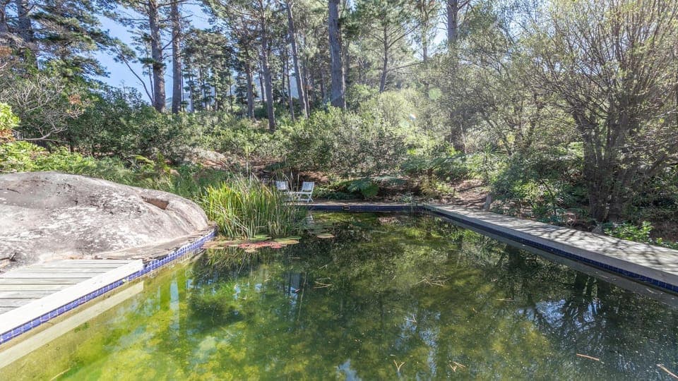 Day, Natural landscape, Garden, Garden view, Swimming pool