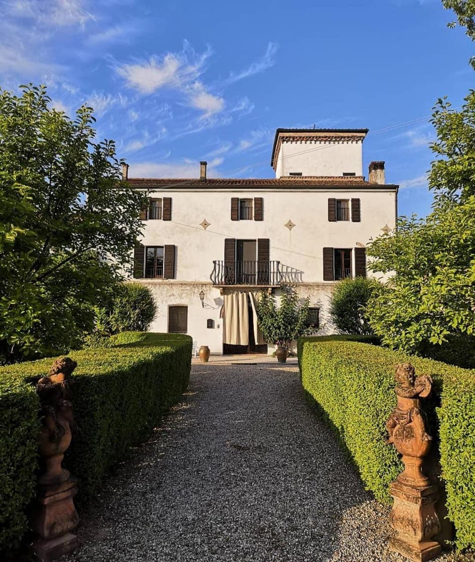 Property building, Garden, Garden view
