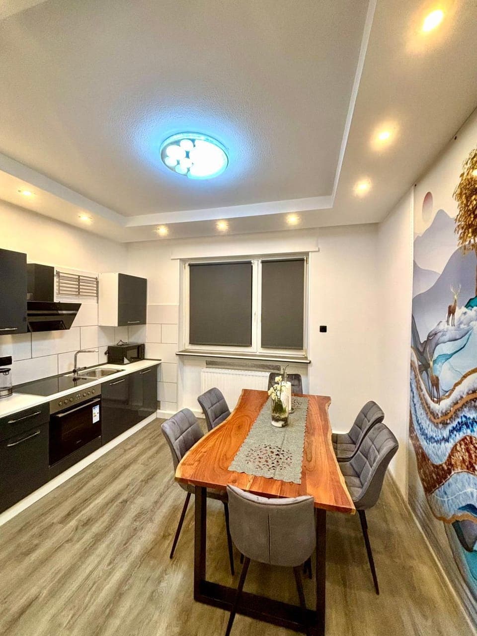 Kitchen or kitchenette, Dining area, oven, kitchen