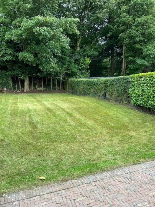 Garden, Balcony/Terrace
